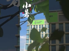 Chinesische Lieferanten von Vakuumsinternen